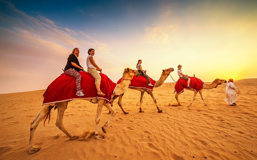 Camel Riding in Dubai Desert