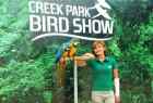 Creek Park Bird Show 
