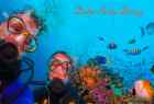dubai scuba diving,discover scuba diving,best scuba diving