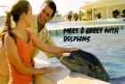 Meet and greet with dolphins 