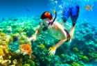 fujairah snorkeling,best snorkeling,dubai fujairah,water activities