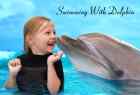 Swimming With Dolphin 