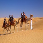evening desert safari with camel ride