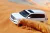 Morning Desert Safari & Dune Bashing