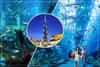 Dubai Mall Aquarium & Under Water Zoo 