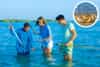 Crab Hunting Dubai, Dubai Crab Hunting, Crab Hunting Tour Dubai