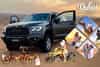 Desert Safari Dubai, Dubai Desert Safari ,Evening Desert Safari ,Desert Safari Deals 