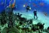 dubai diving,oman divning,best diving,uae divning, diving in musandam oman