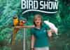 Creek Park Bird Show 