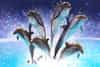 Dubai Dolphinarium in Dubai, Dubai Dolphinarium Tickets, Dubai Dolphinarium