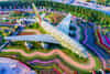 Miracle garden,garden dubai,dubai, miracle garden dubai