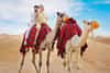 Dubai Travel Tourism