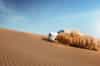 Dubai Travel Tourism