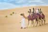 Dubai Travel Tourism