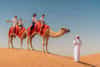 Dubai Travel Tourism