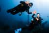 diving certification,open water certification,padi certification,open water padi certification