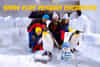 Snow Plus Penguin Encounter
