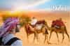 sunset-camel,sunset-camel-trek-dubai,sun-set-came-trek