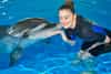 Swimming With Dolphin 