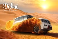 VIP Desert Safari 